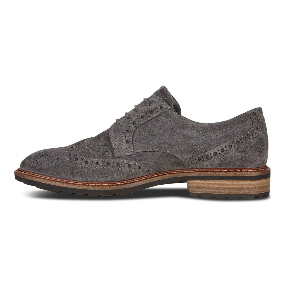 Zapatos De Vestir Hombre - ECCO Vitrus I Wing Tip Tie - Grises Oscuro - SGT158647